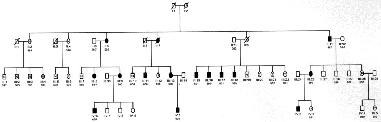 Case studies done on schizophrenia